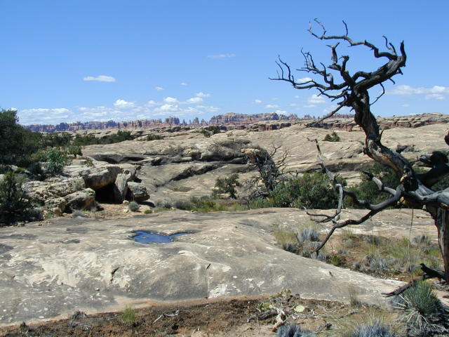 Canyonlands -- Needles