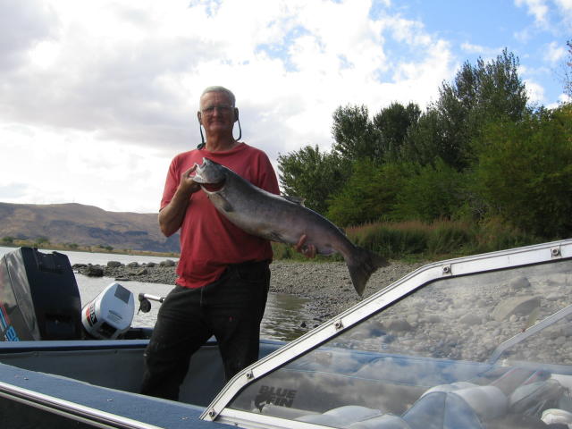 Jim 1 fish