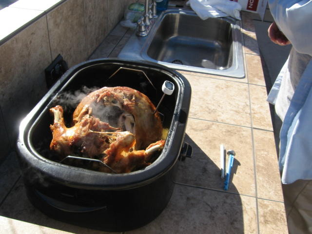 Turkey Turkey