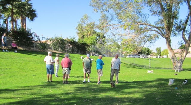 Dog Park Dog Park