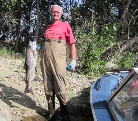 Jim Fish Jim Fish