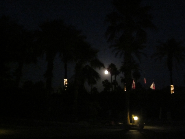Moon Moon