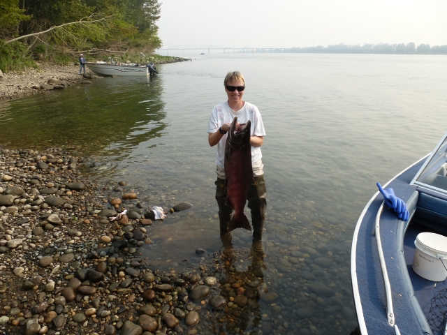Gayle salmon Gayle salmon