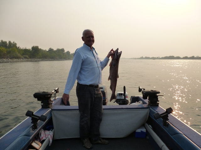 Jim salmon Jim salmon