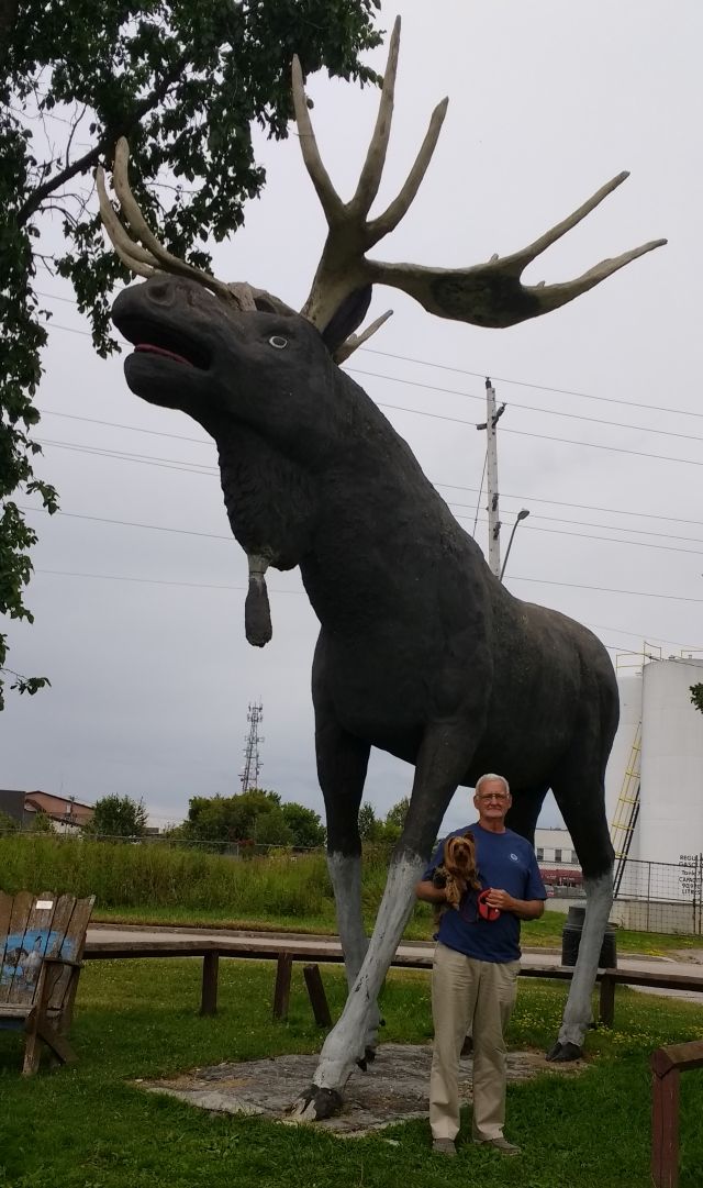 Max the Moose Max the Moose
