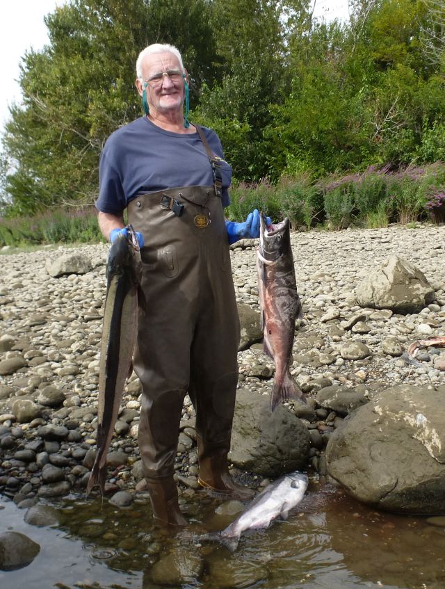Jim fish Jim fish