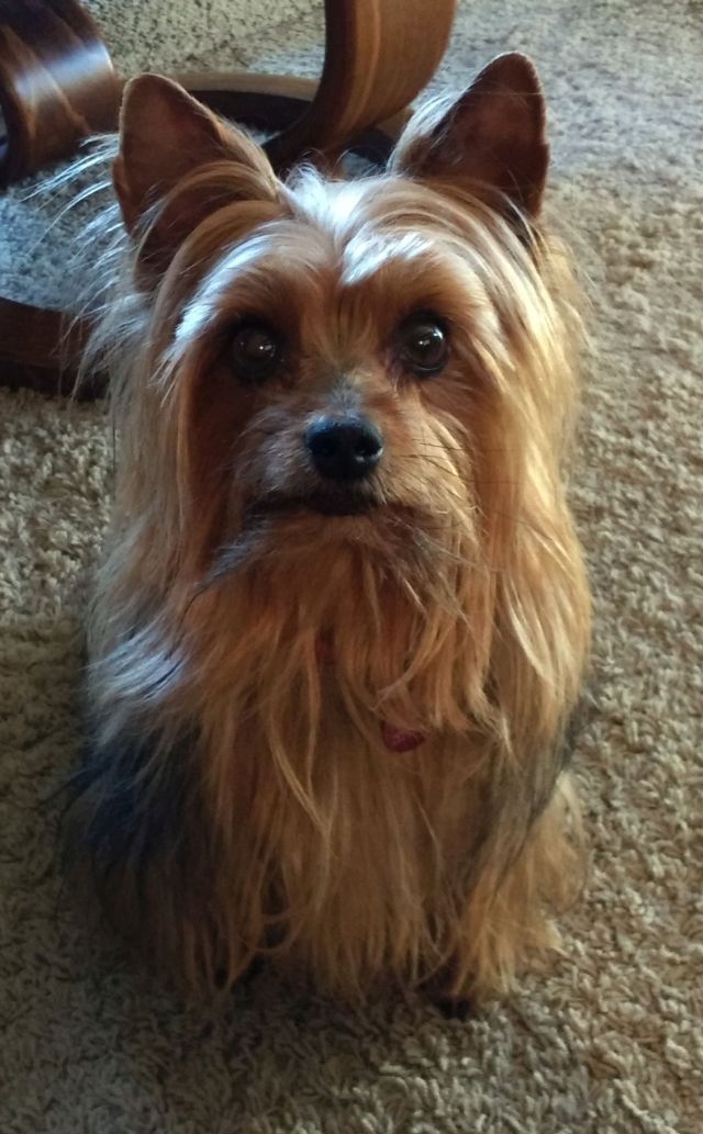 Max Max