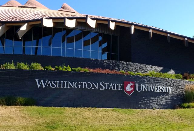 WSU WSU