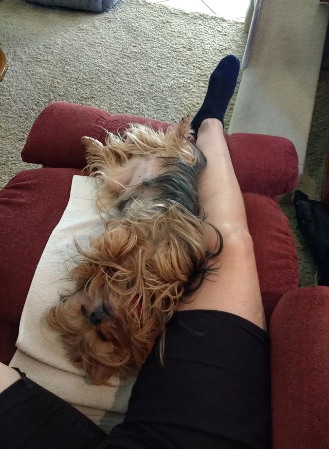 Max Max