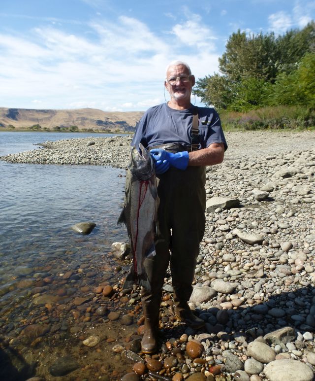 Jim fish Jim fish