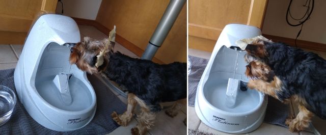 Bo water fountain Bo water fountain