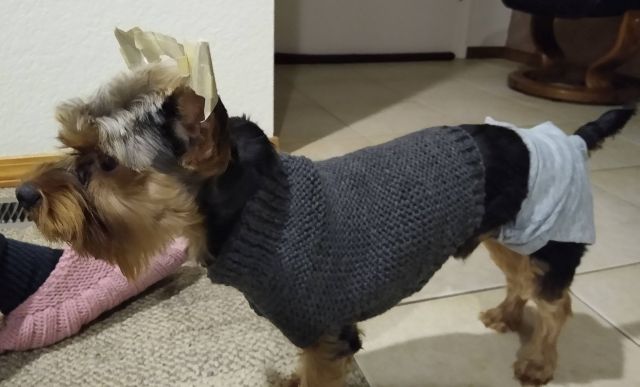 Bo sweater Bo sweater