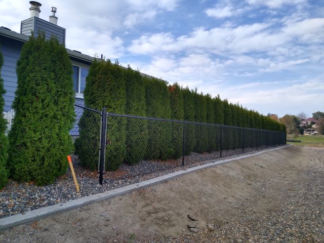 Fence Fence