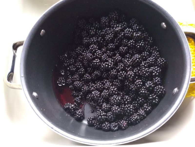 Blackberries Blackberries