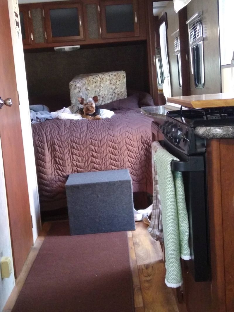 Bo in trailer Bo in trailer