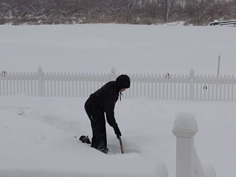Gayle snow Gayle snow