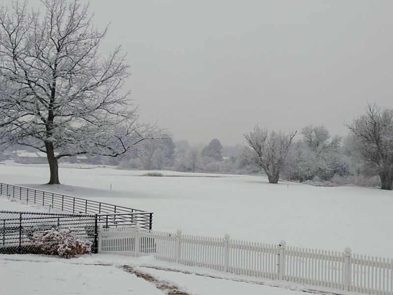 Snow Snow