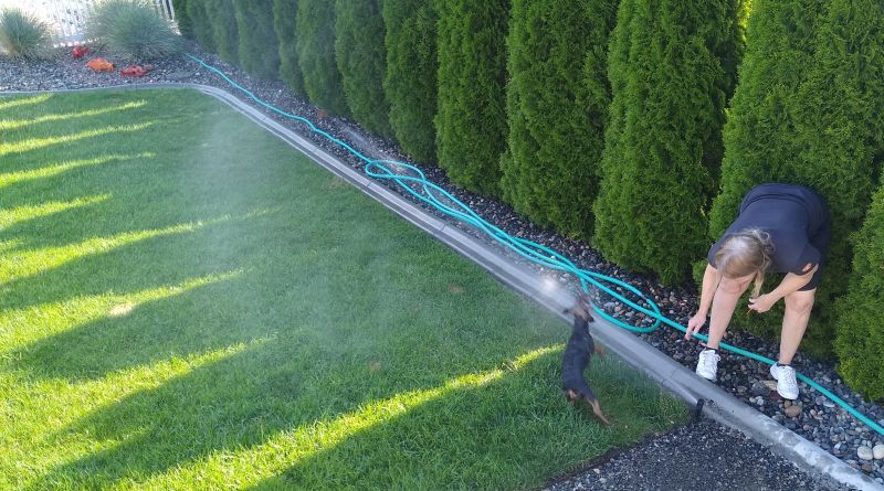 Bo sprinklers Bo sprinklers