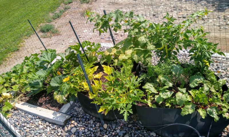Garden Garden