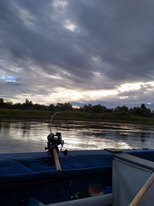 Ringold fishing Ringold fishing