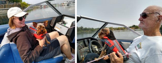 Bo Boat Bo Boat