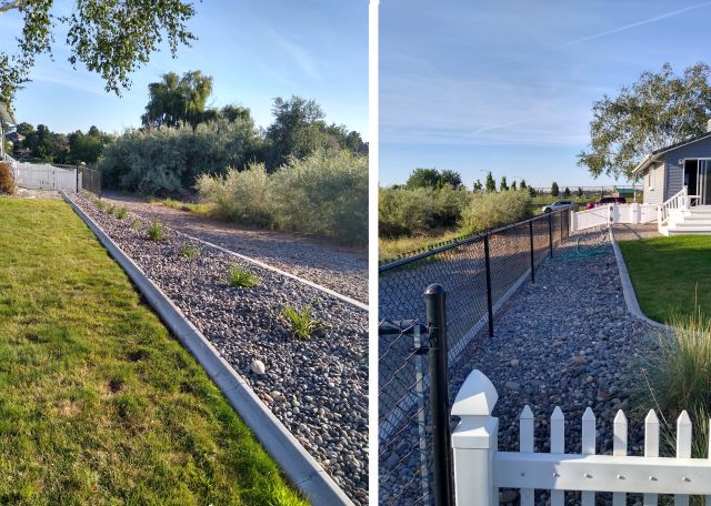 Side yard after Side yard after