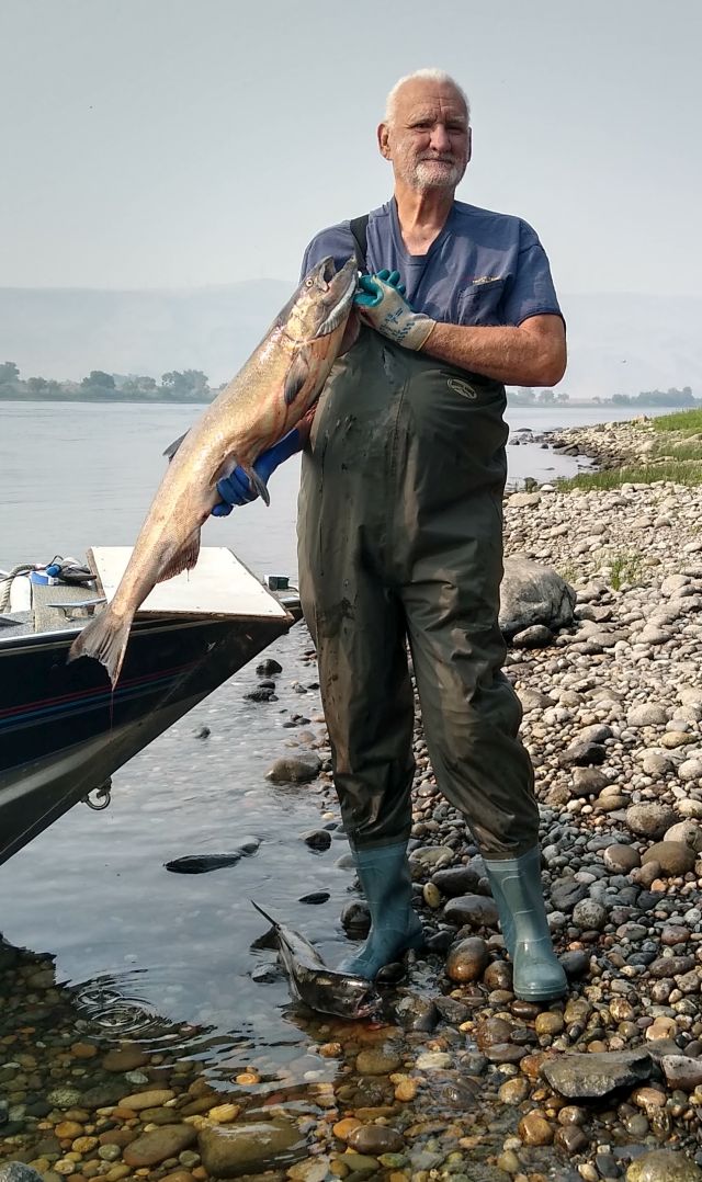 Jim fish Jim fish