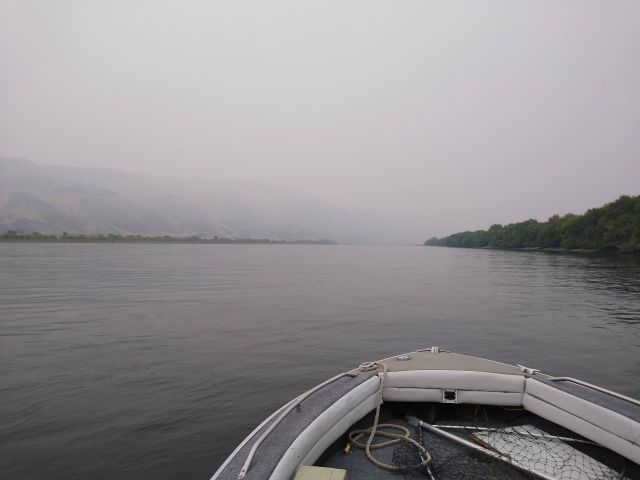 Smoke Smoke