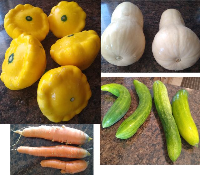 Vegetables Vegetables