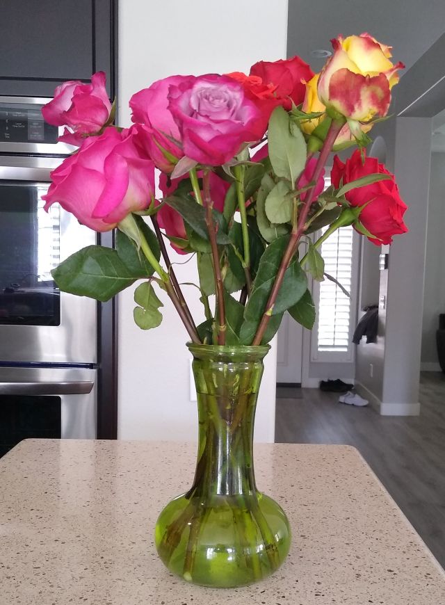 Roses Roses