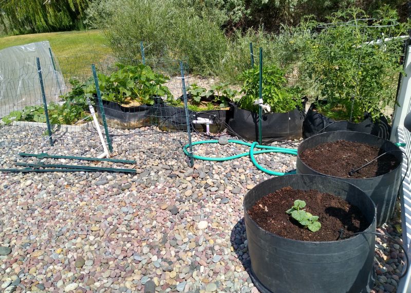 Garden Garden