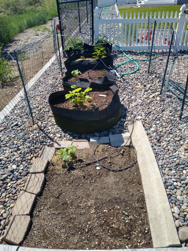Garden Garden