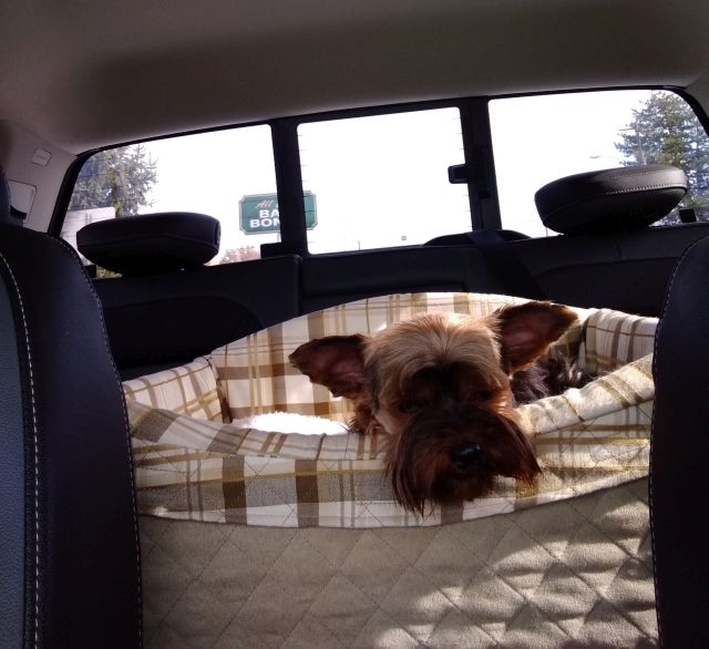 Bo car seat Bo car seat