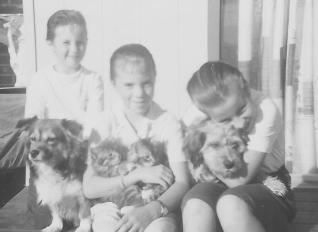 Anne (Binky), Gayle(Tommy and Mittens), Lynne (Kippie) Anne (Binky), Gayle(Tommy and Mittens), Lynne (Kippie)