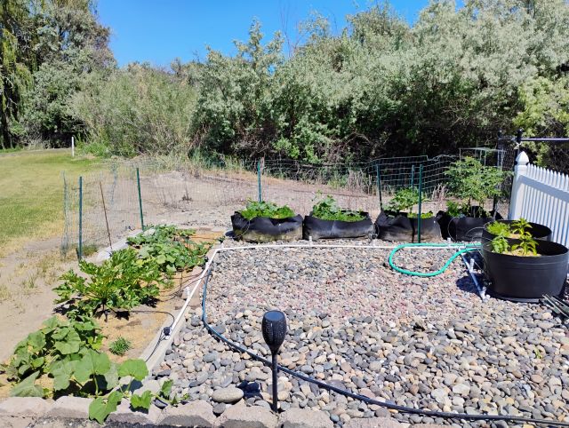 Garden Garden