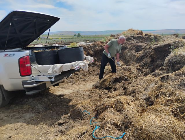Compost Compost