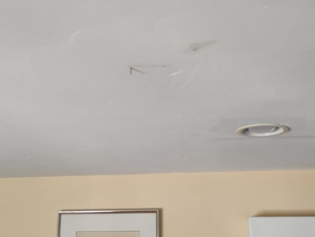 Termites Termites