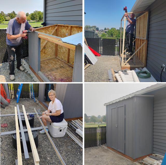 Shed Shed
