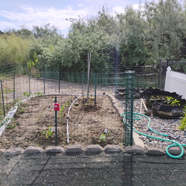 Garden Garden